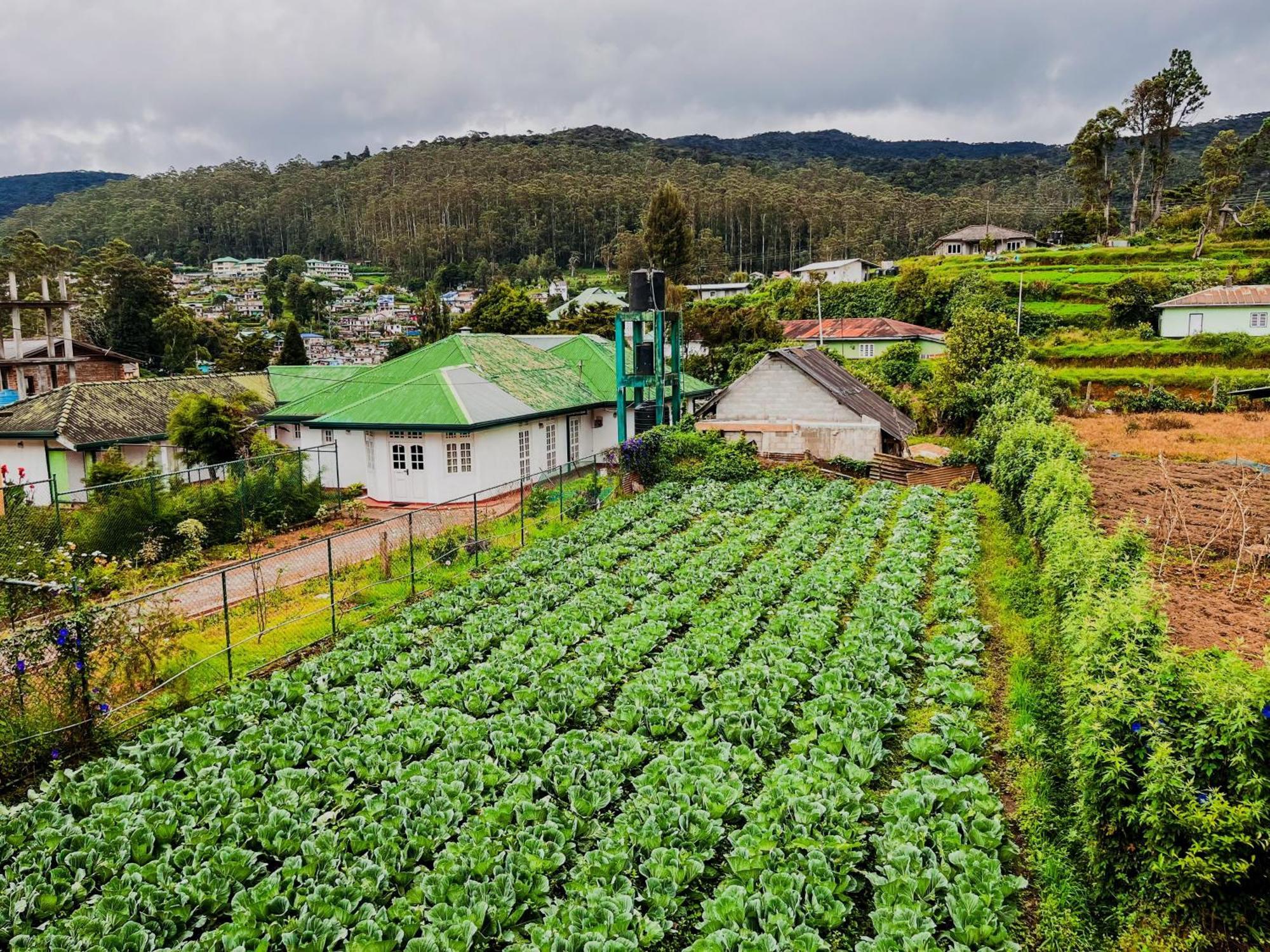 Selis Manor Apartment Nuwara Eliya Exterior photo